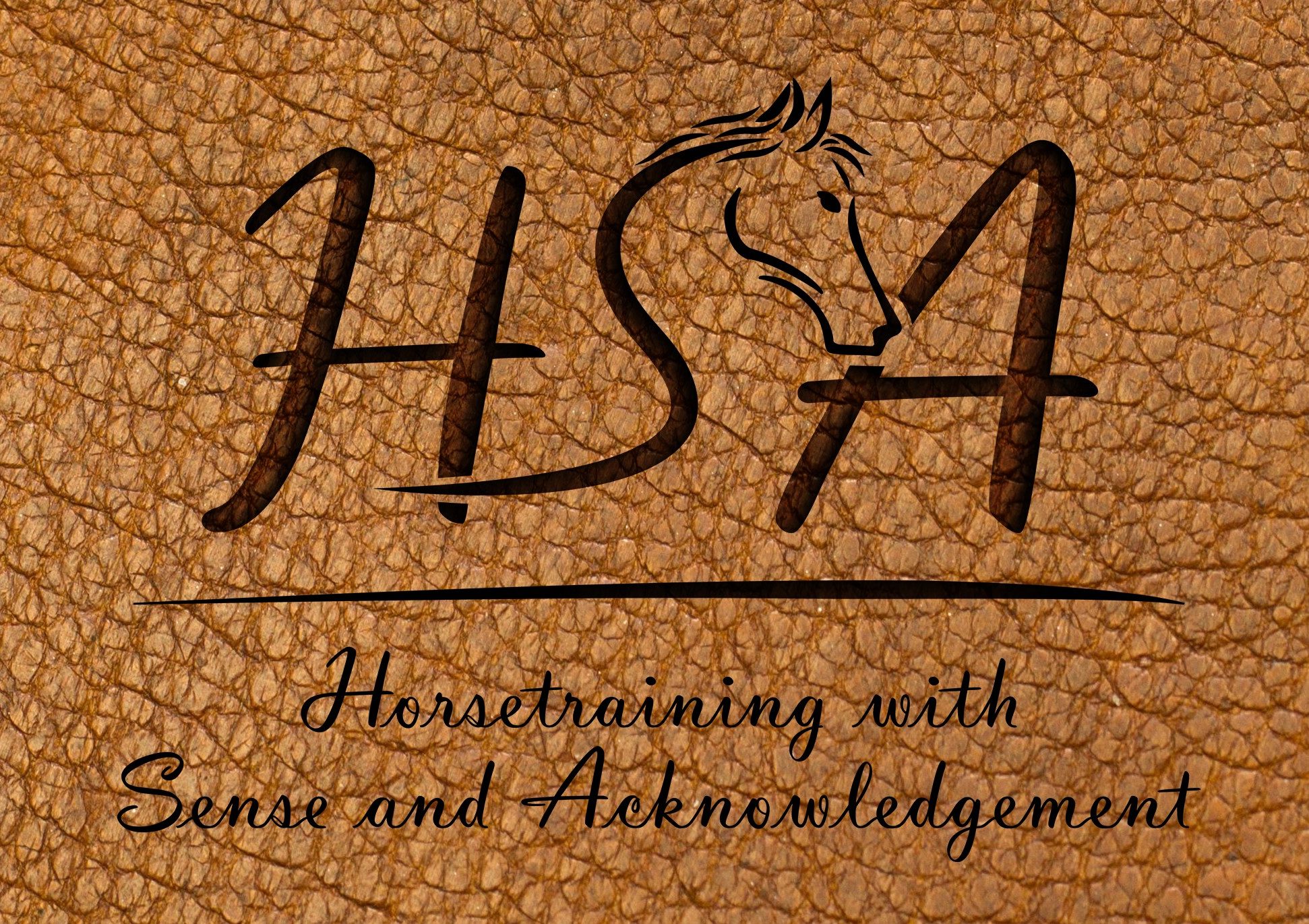 HSA Horsetraining with Sense and Acknowledgement
